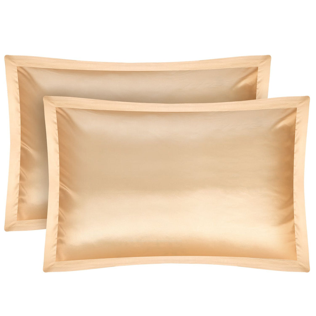 2 Pack Soft Silky Satin Pillow Case Hypoallergenic Breathable Bed Pillow Cover Queen Size Pillowcase Great for Hair Skin