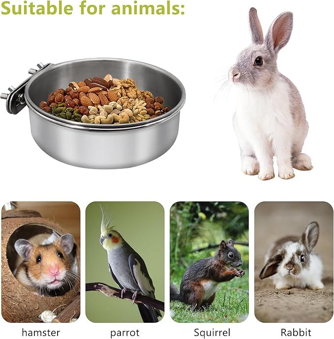 2 Pcs Small Bird Feeding Dish Cups Parrot Food Bowl Cage