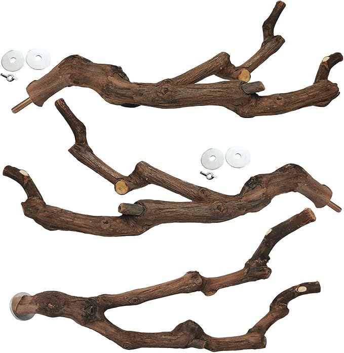 kathson Natural Parrot Perch Bird Stand Pole Wild Grape