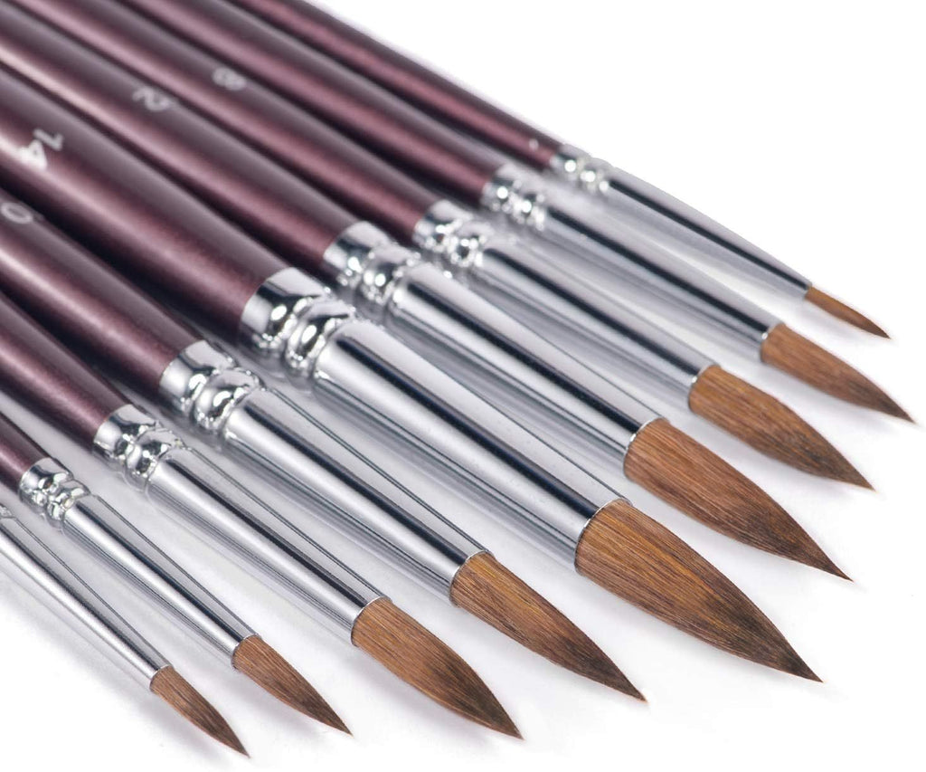 Sable Watercolor Brushes, 9pcs Detail to Mop Sable Brushes Round Pointed Professional Water Color Brushes Perfect for Watercolor Gouache Acrylic Ink Painting
